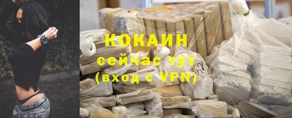 дурь Бородино