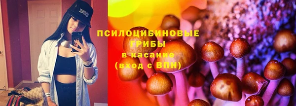 дурь Бородино