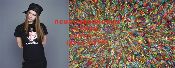 mdpv Бугульма