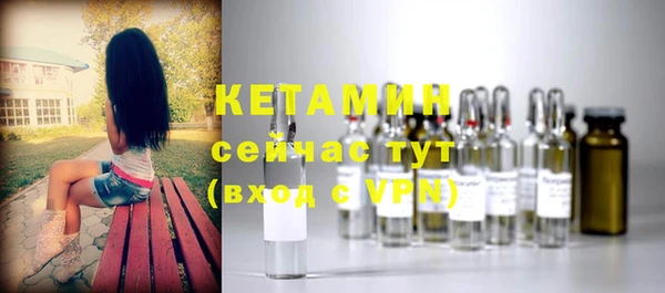 дурь Бородино