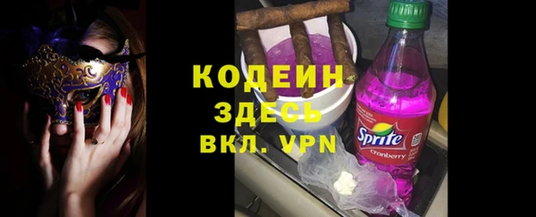 дурь Бородино