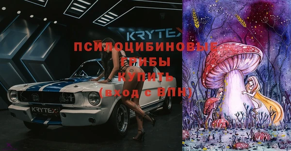 mdpv Бугульма