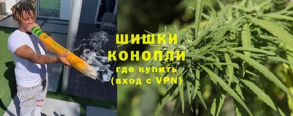 дурь Бородино