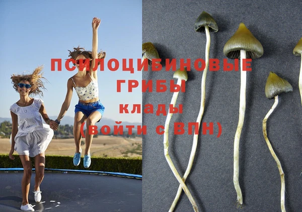 mdpv Бугульма