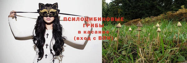 mdpv Бугульма