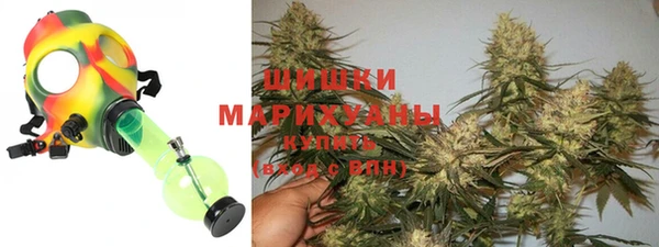 хмурый Бронницы